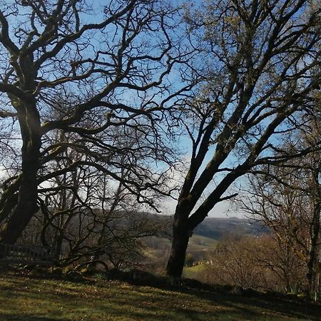 Gite Le Pigonnier Ecogite Le Luquet Saint Beauzeil 82150 Екстер'єр фото