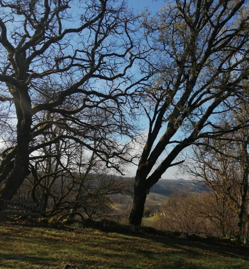 Gite Le Pigonnier Ecogite Le Luquet Saint Beauzeil 82150 Екстер'єр фото