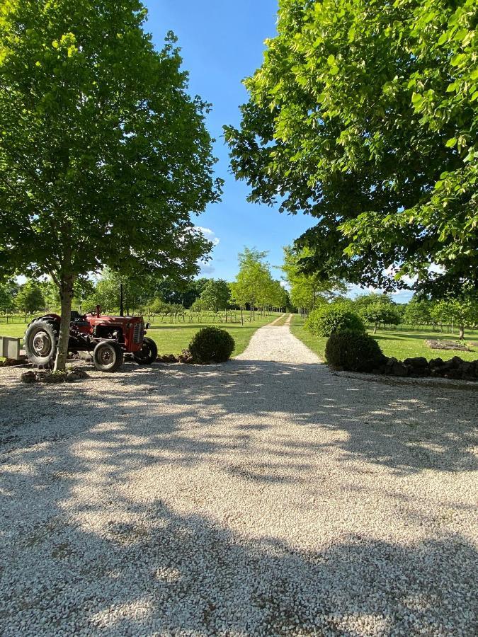 Gite Le Pigonnier Ecogite Le Luquet Saint Beauzeil 82150 Екстер'єр фото